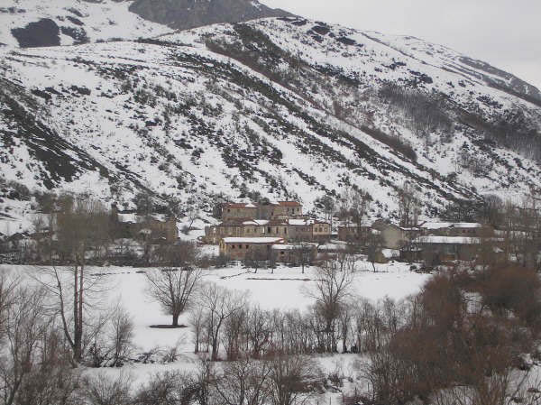 Camposolillo Nevado