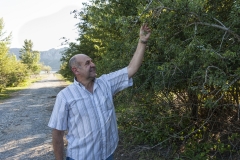 camposolillo_10fiesta_2013-11